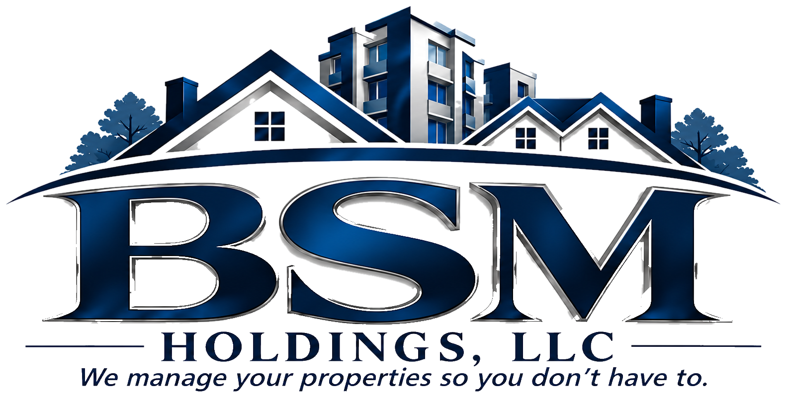 BSM Holdings, LLC