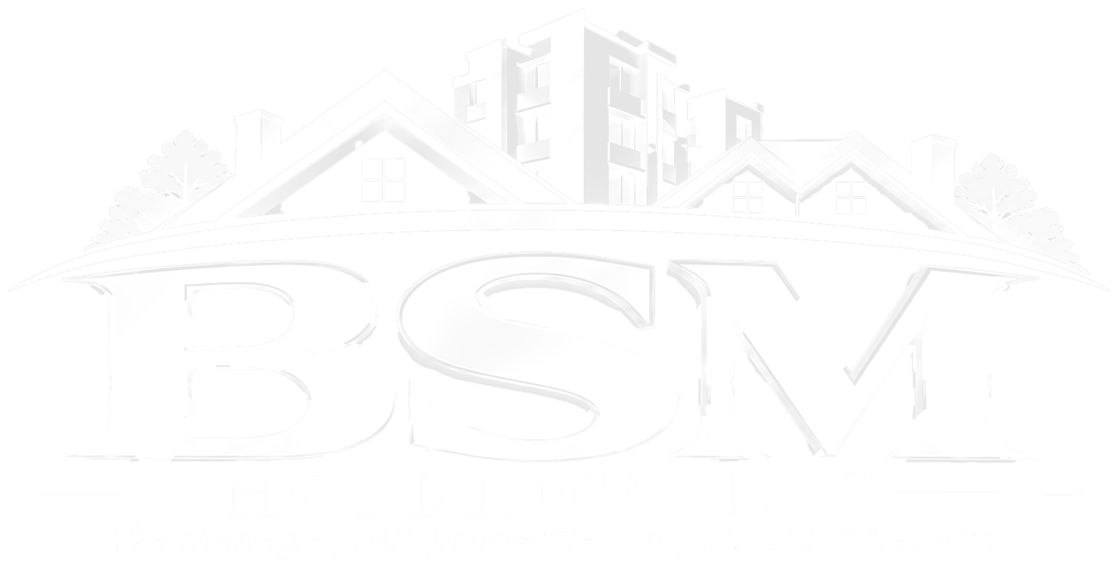 BSM Holdings, LLC